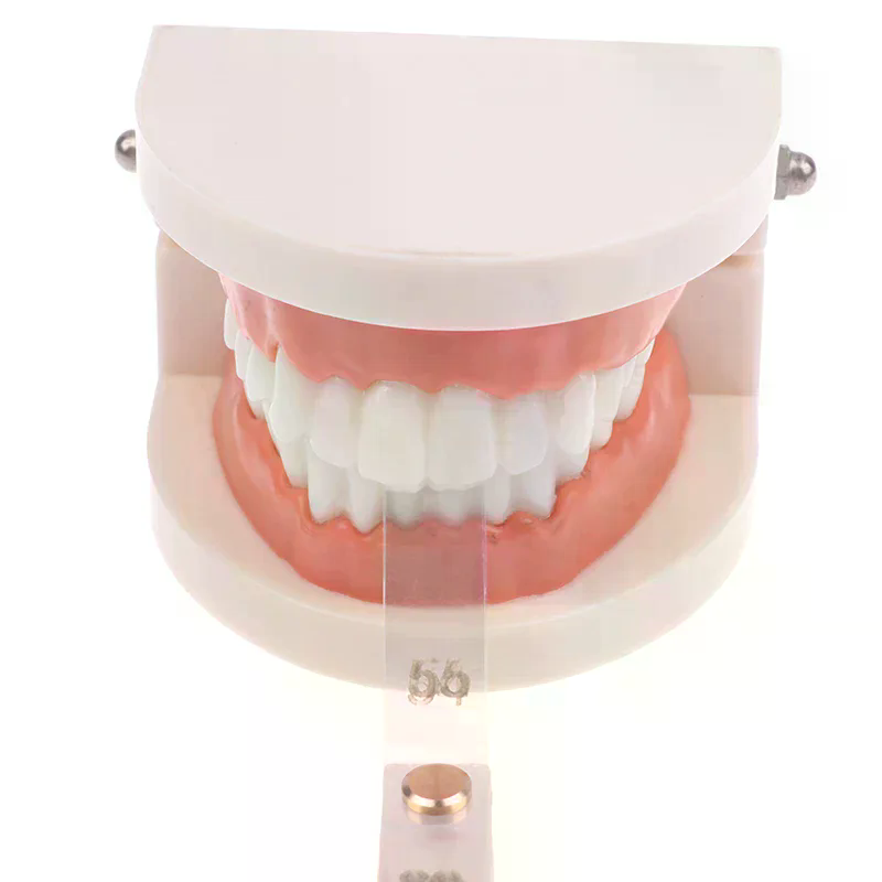 /ACR/Dental Interproximal Redu - Ruler Set Transparent 评论和价格